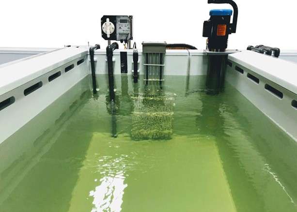 An industrial-scale alodine coating setup