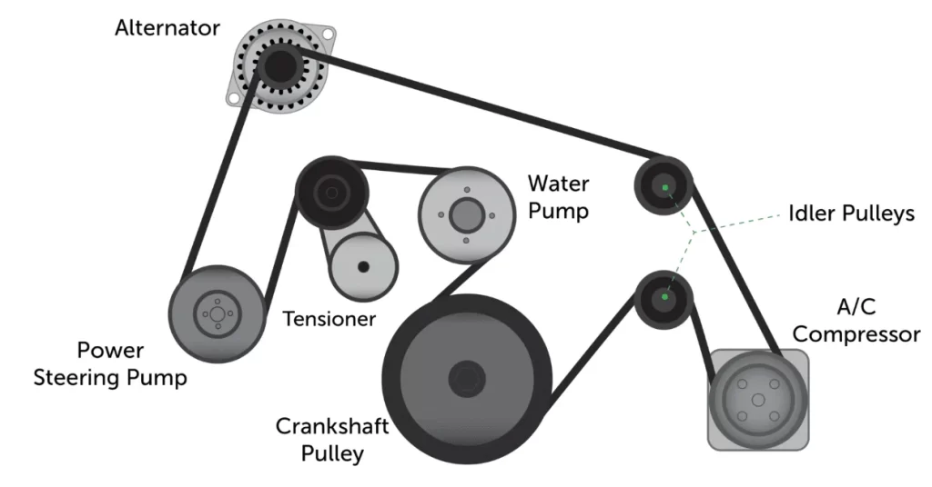 Engine belt routing diagram showing water pump position among crankshaft puller and other components